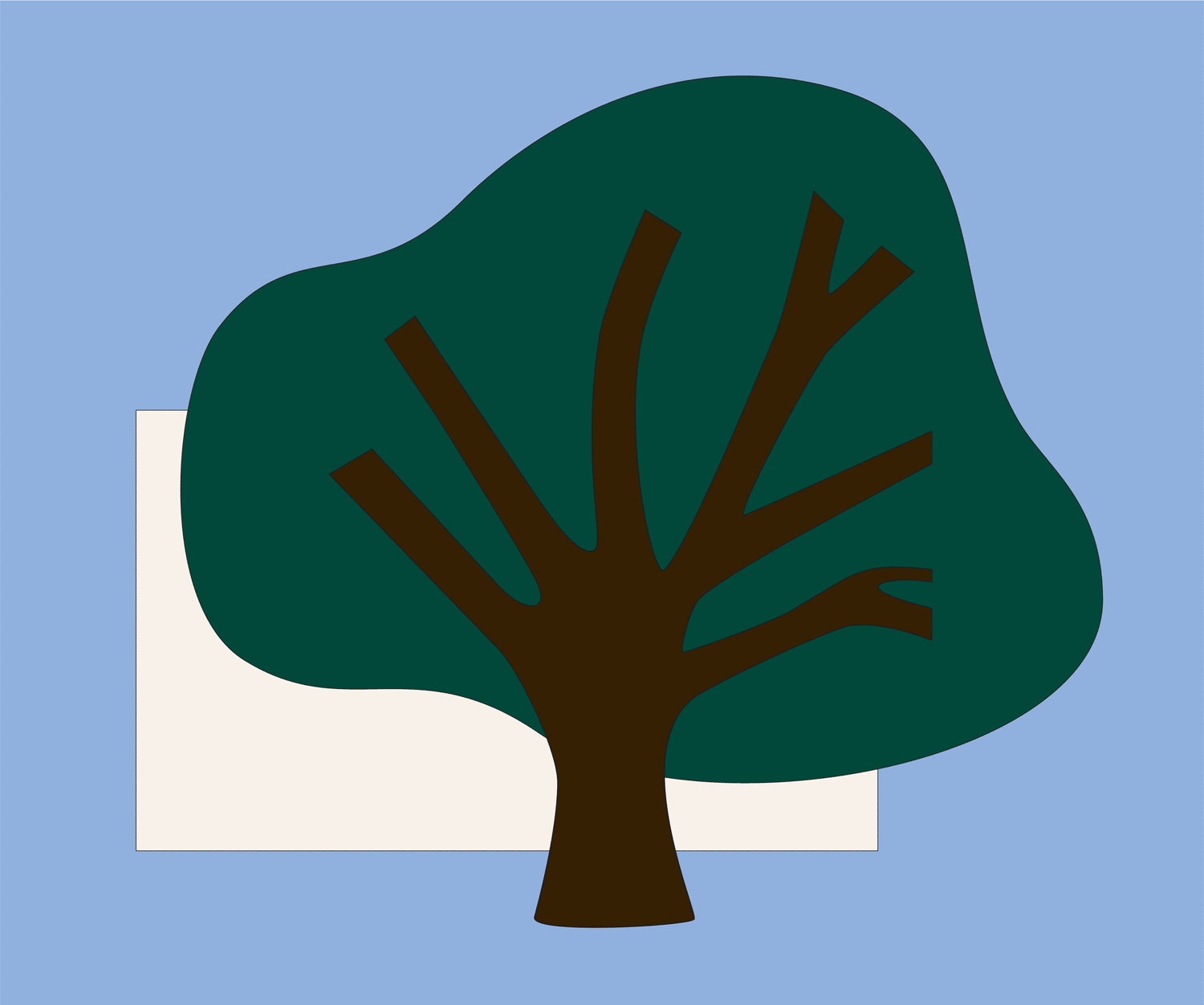 Cork: a natural wonder