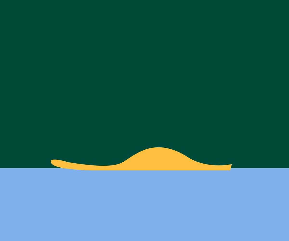 metatarsalgia insoles