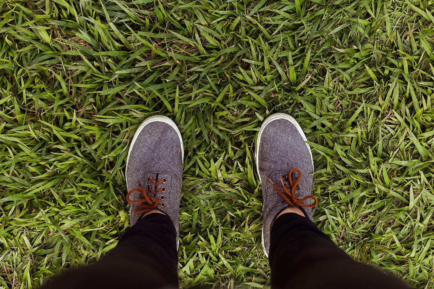 Plus-Size Support That Lasts: Insoles for Higher Body Weight in 2026