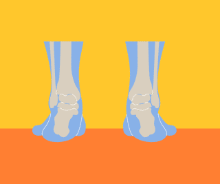 Pronation vs supination