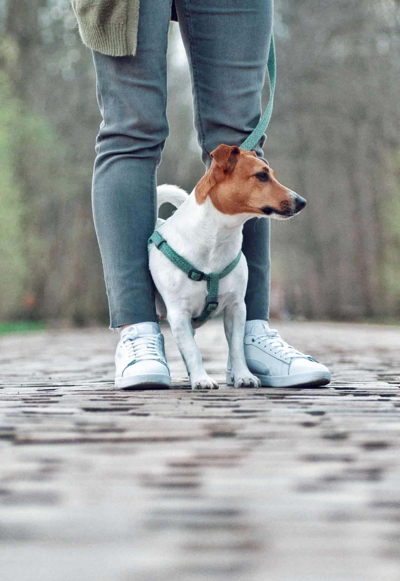 Best Insoles for Shin Splints from Walking or Standing All Day in 2026