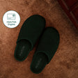 #color_forest green