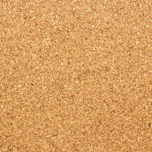 arch support insert