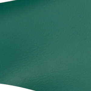 vegan cactus leather